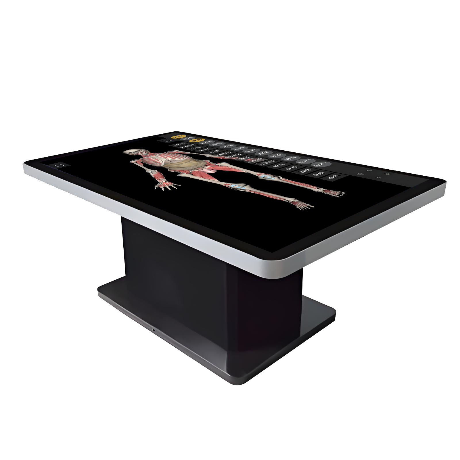 MD10000S 三维解剖触控教学平台（学生机）